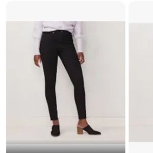 LC pants